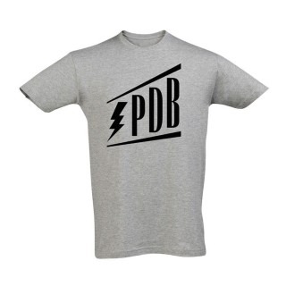 T-shirt favicon gris Printemps de Bourges